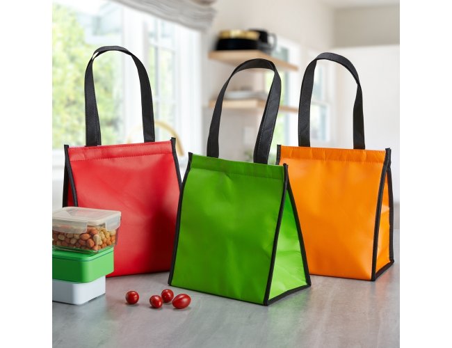 Bolsa Trmica 6 Litros Modelo INF 02595
