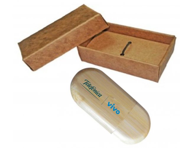 KIT PEN DRIVE ECOLGICO - modelo INF ECO01